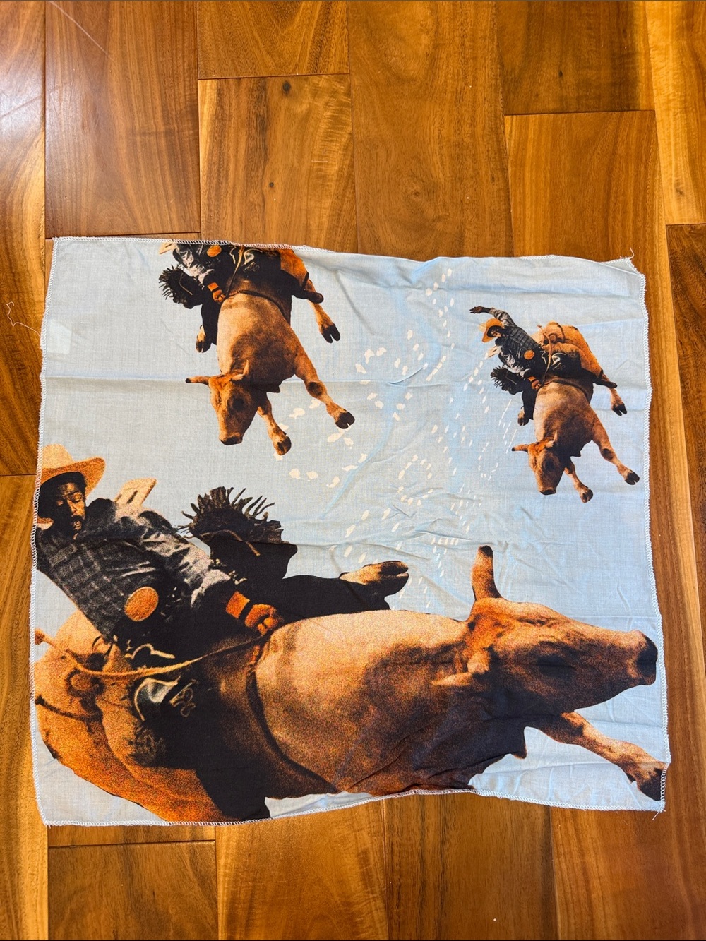 Golf Wang Cowboy Rodeo Print Bandana Scarf - Light Blue and Brown